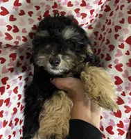 processed/7adf4f6c-f281-4178-9bc1-40dfa4e6f86c/listing/5112beee-aab5-4565-b888-5e2eb0cb333a/38cfac23-2011-4d5f-b315-0a9ed5a4feb9