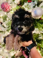 processed/7adf4f6c-f281-4178-9bc1-40dfa4e6f86c/listing/5112beee-aab5-4565-b888-5e2eb0cb333a/e4f9bb2c-3065-4f2f-b344-7860d51e0f39