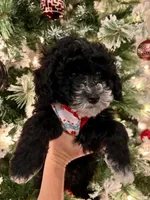 processed/7adf4f6c-f281-4178-9bc1-40dfa4e6f86c/listing/8c612b00-e265-4634-9bff-96c754f4a4a0/654a8c2d-3fa4-43c6-b380-0ca7349a21ac