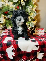 processed/7adf4f6c-f281-4178-9bc1-40dfa4e6f86c/listing/8c612b00-e265-4634-9bff-96c754f4a4a0/cd736ede-a13b-404f-a7a6-7f4e4dfb6472