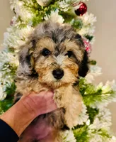 processed/7adf4f6c-f281-4178-9bc1-40dfa4e6f86c/listing/8eaeea30-8717-41f1-9cfa-98dffdbf23dd/6d1a0bc8-c40f-4df9-810a-f6dbd242894f