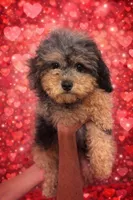 processed/7adf4f6c-f281-4178-9bc1-40dfa4e6f86c/listing/8eaeea30-8717-41f1-9cfa-98dffdbf23dd/8ea8a0a5-f9cd-47aa-919e-4cc2b8097cd5