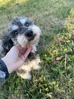 processed/7adf4f6c-f281-4178-9bc1-40dfa4e6f86c/listing/f3a5e874-b2b2-4257-950f-685d45065e29/7203ae00-e240-4823-a1b0-91086f006e09