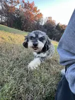 processed/7adf4f6c-f281-4178-9bc1-40dfa4e6f86c/listing/f3a5e874-b2b2-4257-950f-685d45065e29/8c58caac-03af-4943-9eb9-e3e990e575c4