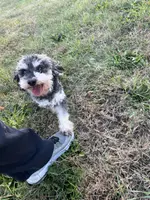 processed/7adf4f6c-f281-4178-9bc1-40dfa4e6f86c/listing/f3a5e874-b2b2-4257-950f-685d45065e29/a2e26e60-4007-4ef4-87bf-e42a6f910390