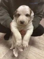 processed/7aecf2d3-e0b4-451b-aefb-7b31ac262f22/listing/8b941c25-6290-4392-8c0f-03ff6c58f92f/296ef095-4526-4c9e-ae88-cc9fdd94ae39