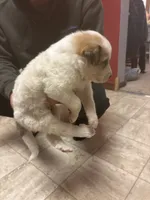 processed/7aecf2d3-e0b4-451b-aefb-7b31ac262f22/listing/8b941c25-6290-4392-8c0f-03ff6c58f92f/c1cc35cf-2dfb-423c-ac83-da81024b27ce