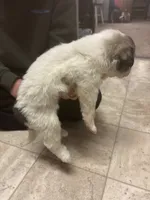 processed/7aecf2d3-e0b4-451b-aefb-7b31ac262f22/listing/8de0175d-4698-43bd-b074-60c0d6bb2bdc/988b29af-d514-454e-9d88-2a37ea6796c0