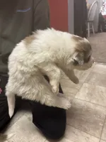 processed/7aecf2d3-e0b4-451b-aefb-7b31ac262f22/listing/d1d8652c-9475-4ddd-8d51-d9da79df2d79/5ededfd7-57a9-4d76-8f5f-899b7950f0f2