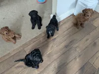 processed/7aeff305-1806-40fa-85ba-073988f1ae05/facility/9b98b665-a069-45e9-9d00-0c6b657a7bd9