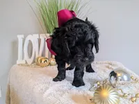 processed/7aeff305-1806-40fa-85ba-073988f1ae05/listing/5fc72d1a-7e29-4854-9223-1fbf4fb37369/528ef9e0-2fdf-42e2-abd1-a183cad376ba