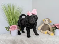 processed/7aeff305-1806-40fa-85ba-073988f1ae05/listing/5fc72d1a-7e29-4854-9223-1fbf4fb37369/dd2d3c9b-fdf2-4c26-afd6-dd5d502ef2b2