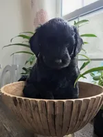 processed/7aeff305-1806-40fa-85ba-073988f1ae05/listing/5fc72d1a-7e29-4854-9223-1fbf4fb37369/ded1ebcf-b453-44e5-96cf-1402b513a069