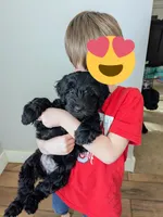 processed/7aeff305-1806-40fa-85ba-073988f1ae05/listing/5fc72d1a-7e29-4854-9223-1fbf4fb37369/f51b0b01-da40-4ded-8a09-a0d2ffccb932