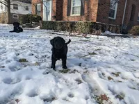 processed/7aeff305-1806-40fa-85ba-073988f1ae05/listing/d8d04034-4353-436a-8033-82d5a36a114b/2970d8b7-260d-4120-9fe3-a28b157c31e9