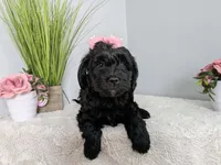 processed/7aeff305-1806-40fa-85ba-073988f1ae05/listing/d8d04034-4353-436a-8033-82d5a36a114b/7afa4ef0-7295-49a5-8c3e-f8aa0c373e56