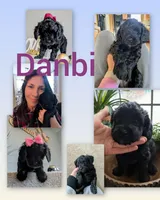 processed/7aeff305-1806-40fa-85ba-073988f1ae05/listing/d8d04034-4353-436a-8033-82d5a36a114b/9fe4232f-3b88-472d-8936-ba6bd7bd4123