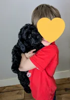 processed/7aeff305-1806-40fa-85ba-073988f1ae05/listing/d8d04034-4353-436a-8033-82d5a36a114b/ccffc53b-4171-48a5-8595-100f27abac04