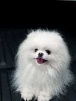 processed/7af0ed93-c3c6-4f5c-bc4d-a5fa2cef114d/facility/5586374b-0046-4321-84e0-105602668ef9