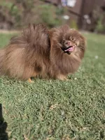 processed/7af0ed93-c3c6-4f5c-bc4d-a5fa2cef114d/facility/604798ba-d83f-48cd-8138-70f09611ce10