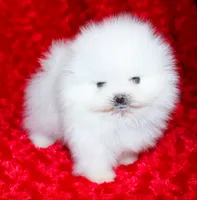 processed/7af0ed93-c3c6-4f5c-bc4d-a5fa2cef114d/facility/725f42bf-24c3-4922-891a-c1bc023da7e8