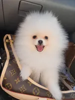 processed/7af0ed93-c3c6-4f5c-bc4d-a5fa2cef114d/facility/85a867ab-3e99-4894-ae59-61f2d4bfc98f