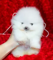 processed/7af0ed93-c3c6-4f5c-bc4d-a5fa2cef114d/facility/992d56b1-338a-4dc3-9820-49d75afb89d2