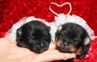 processed/7af0ed93-c3c6-4f5c-bc4d-a5fa2cef114d/facility/9babf1ac-e682-4729-9bda-938954eb2931