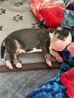 processed/7af2a0eb-366c-4dcf-a65b-f6b9455121ac/listing/32acabfe-9fb9-4d60-bb31-f83989ccaf8d/1d133d01-2a67-47b4-a514-92de1bd25e01