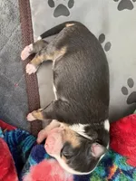 processed/7af2a0eb-366c-4dcf-a65b-f6b9455121ac/listing/32acabfe-9fb9-4d60-bb31-f83989ccaf8d/1de86099-461e-4cca-b4da-d55488bc831c