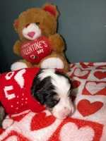 processed/7af2a0eb-366c-4dcf-a65b-f6b9455121ac/listing/32acabfe-9fb9-4d60-bb31-f83989ccaf8d/2c95e3cd-5e9d-4989-9897-27e90df95407