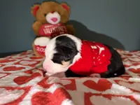 processed/7af2a0eb-366c-4dcf-a65b-f6b9455121ac/listing/32acabfe-9fb9-4d60-bb31-f83989ccaf8d/45b5cd1d-6ceb-4393-933d-6f0fd84d187d