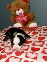 processed/7af2a0eb-366c-4dcf-a65b-f6b9455121ac/listing/32acabfe-9fb9-4d60-bb31-f83989ccaf8d/84cc1b58-39ad-45ab-959f-bcbe5da4450e