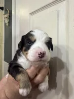 processed/7af2a0eb-366c-4dcf-a65b-f6b9455121ac/listing/32acabfe-9fb9-4d60-bb31-f83989ccaf8d/9ac98508-0df5-4b17-a5dd-ab6b601069a9