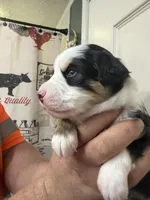 processed/7af2a0eb-366c-4dcf-a65b-f6b9455121ac/listing/32acabfe-9fb9-4d60-bb31-f83989ccaf8d/a8bdf330-66b4-4797-a5d5-ccac2a050a13