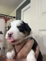 processed/7af2a0eb-366c-4dcf-a65b-f6b9455121ac/listing/32acabfe-9fb9-4d60-bb31-f83989ccaf8d/c1c96f74-bf9a-4db0-8ca0-f3272171df73