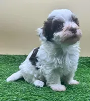 processed/7b066ae5-670a-4d89-b2d6-5b27175d865b/listing/51a4262f-af04-4c86-a0af-c8d45354faab/0724f1c0-f5f0-4d03-8df2-f292710ab8ee