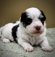 processed/7b066ae5-670a-4d89-b2d6-5b27175d865b/listing/51a4262f-af04-4c86-a0af-c8d45354faab/4f66a7b2-ea5c-40b9-8dce-9ca6d0a73fc1