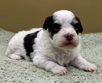 processed/7b066ae5-670a-4d89-b2d6-5b27175d865b/listing/51a4262f-af04-4c86-a0af-c8d45354faab/5238a109-90b0-46e6-b9a9-90507600a3fb