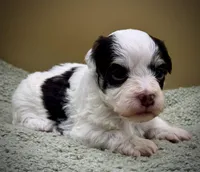 processed/7b066ae5-670a-4d89-b2d6-5b27175d865b/listing/51a4262f-af04-4c86-a0af-c8d45354faab/b562c9ad-6aee-4e8e-a14b-f7db50d59f47