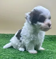 processed/7b066ae5-670a-4d89-b2d6-5b27175d865b/listing/51a4262f-af04-4c86-a0af-c8d45354faab/b7a60031-70e3-41a9-af30-1467a22d177a