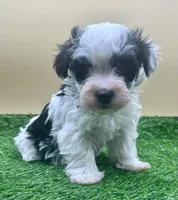 processed/7b066ae5-670a-4d89-b2d6-5b27175d865b/listing/a27df838-97cc-4c61-bad0-b53fadd1992f/17e06264-d253-44b3-894e-d09cbb7c3026