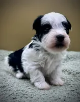 processed/7b066ae5-670a-4d89-b2d6-5b27175d865b/listing/a27df838-97cc-4c61-bad0-b53fadd1992f/30f87656-8265-4859-86ea-db30fe3ebbc0