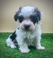 processed/7b066ae5-670a-4d89-b2d6-5b27175d865b/listing/a27df838-97cc-4c61-bad0-b53fadd1992f/8d2b72ce-8860-4f16-af31-18277e282b64