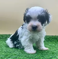 processed/7b066ae5-670a-4d89-b2d6-5b27175d865b/listing/a27df838-97cc-4c61-bad0-b53fadd1992f/b8e5a895-2b2d-45c0-ad72-a8e70e078d0a