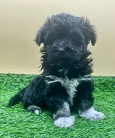 processed/7b066ae5-670a-4d89-b2d6-5b27175d865b/listing/dff081a2-f24c-4b5d-ac89-d18fc7907ebb/2f8ff731-6b7b-451c-ada6-6b24f9c96474