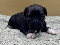 processed/7b066ae5-670a-4d89-b2d6-5b27175d865b/listing/dff081a2-f24c-4b5d-ac89-d18fc7907ebb/b1d189bd-d569-4b16-8005-9fad55133377