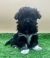 processed/7b066ae5-670a-4d89-b2d6-5b27175d865b/listing/dff081a2-f24c-4b5d-ac89-d18fc7907ebb/d20cd63f-95ef-4d6b-a2bf-6e1af991028d