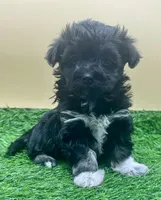 processed/7b066ae5-670a-4d89-b2d6-5b27175d865b/listing/dff081a2-f24c-4b5d-ac89-d18fc7907ebb/e5d2279b-d7fd-480a-ab09-f4be1d101df8