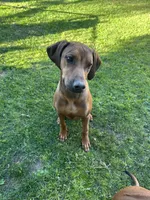 processed/7b074e85-781d-4f77-aec0-f7427c2502d6/listing/c5efdfd5-2df9-446f-9c9e-4ab5ffcfefd6/436f21ca-c8ce-4836-a9b4-39965f996e0c